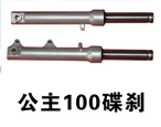 100ɲ
